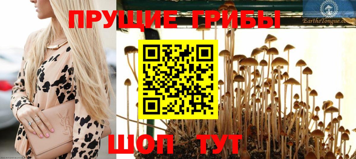 Ишим  Галлюциногенные грибы мицелий  Вход с VPN 